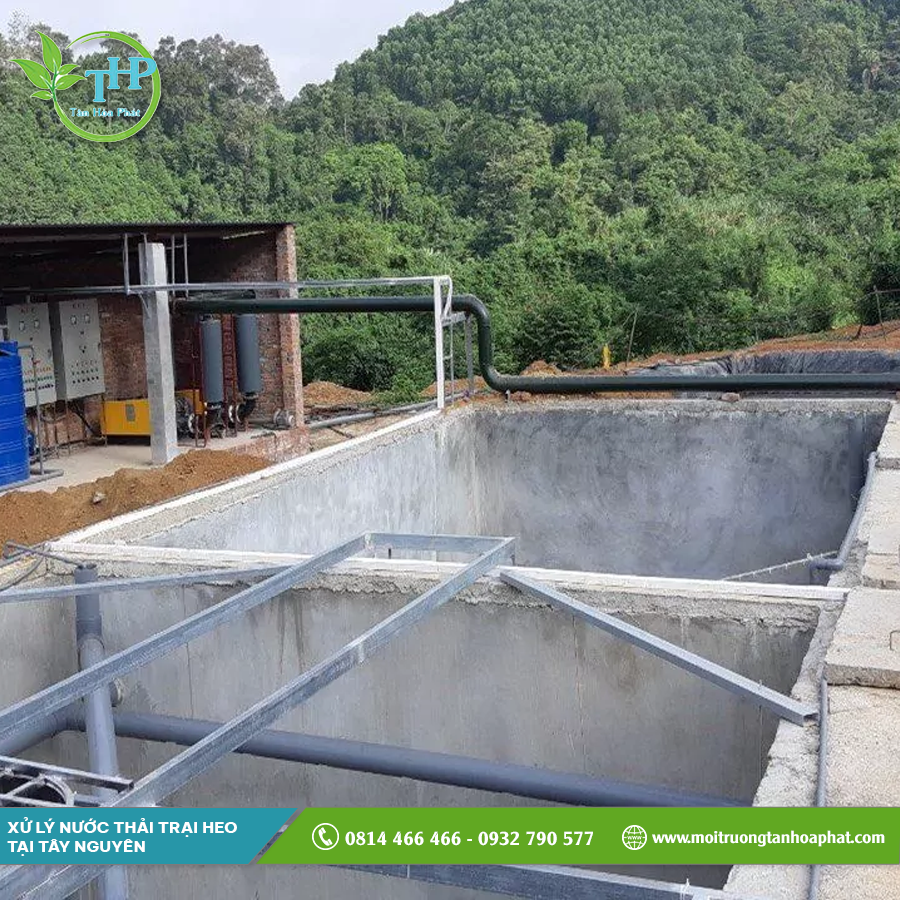 xử lý nước thải trại heo tại Tây Nguyên