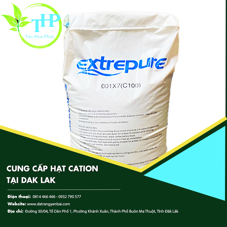 Cung cấp hạt cation tại Dak Lak
