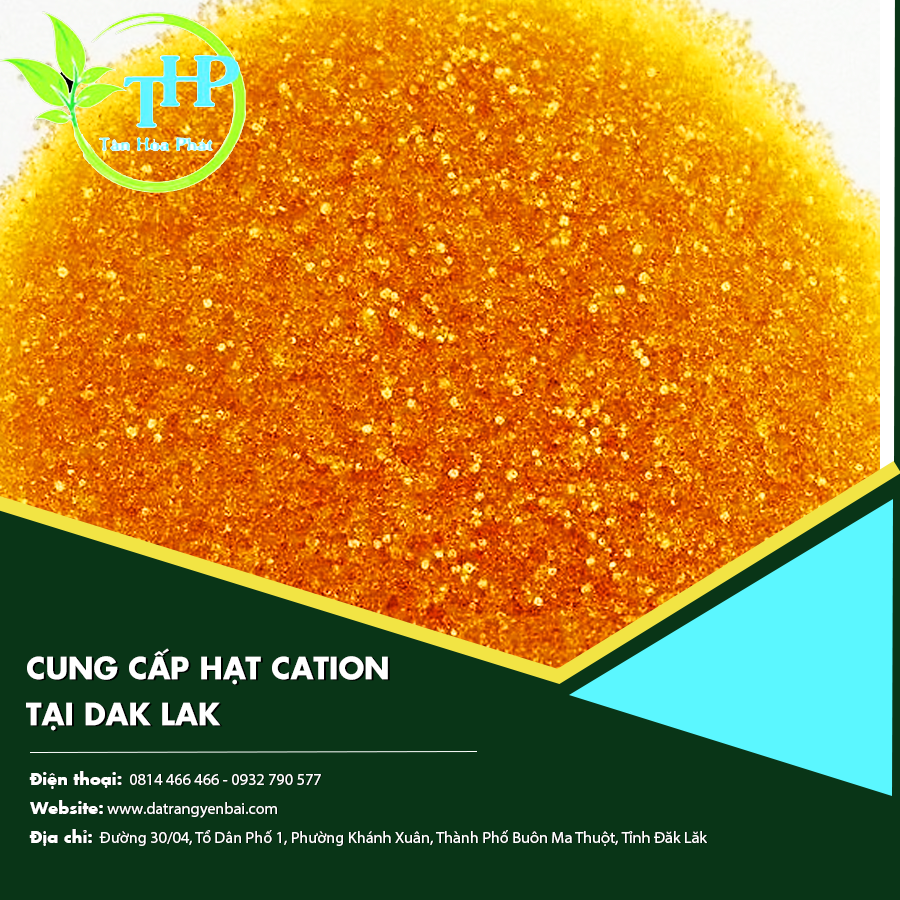 Cung cấp hạt cation tại Dak Lak