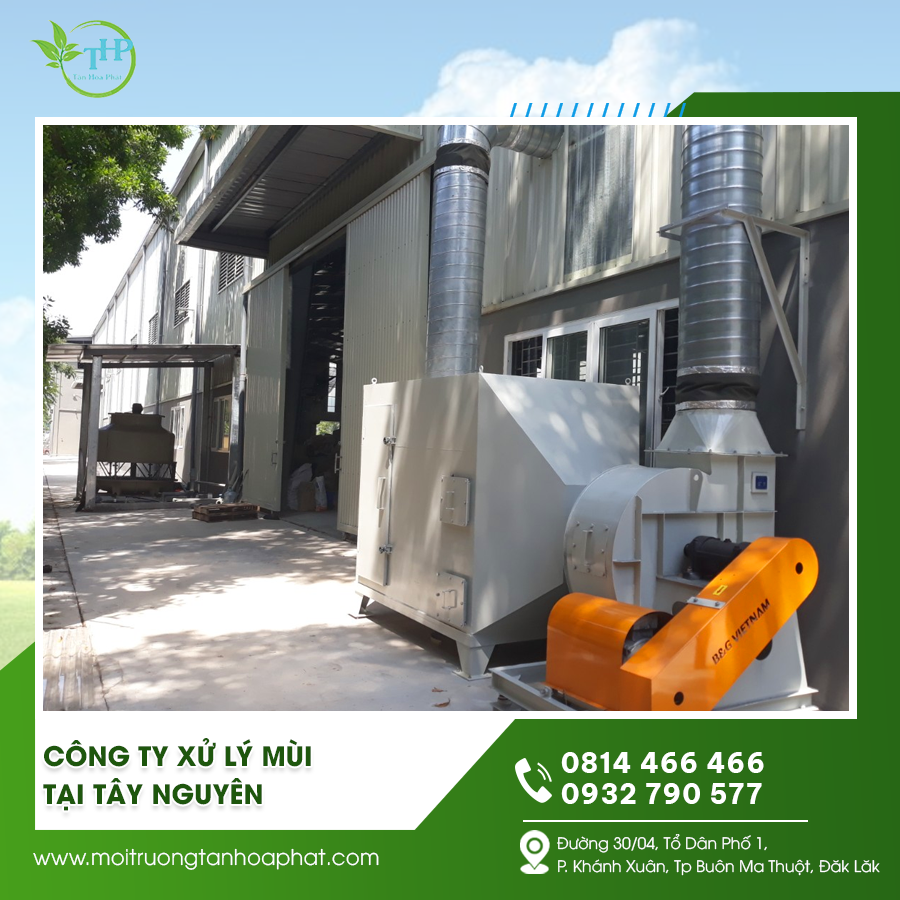 Công ty xử lý mùi tại Tây Nguyên