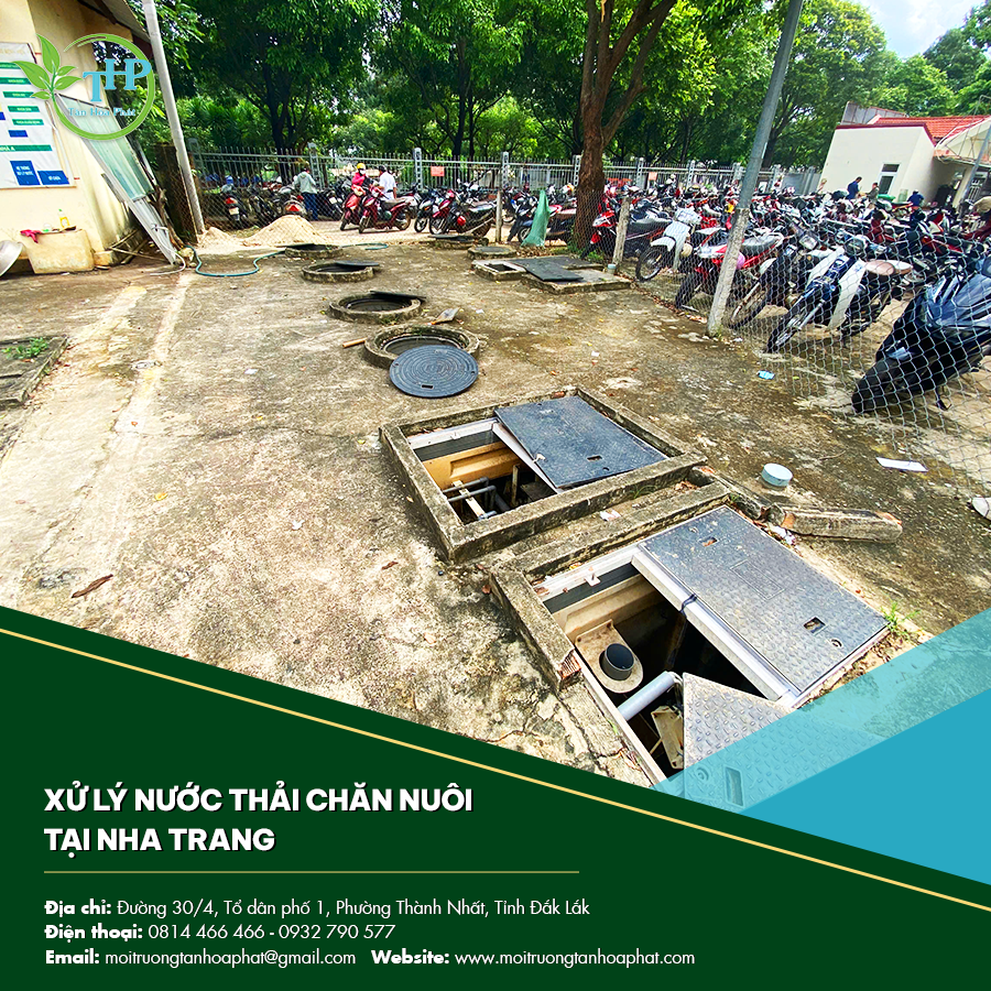 Xử lý nước thải chăn nuôi tại Nha Trang