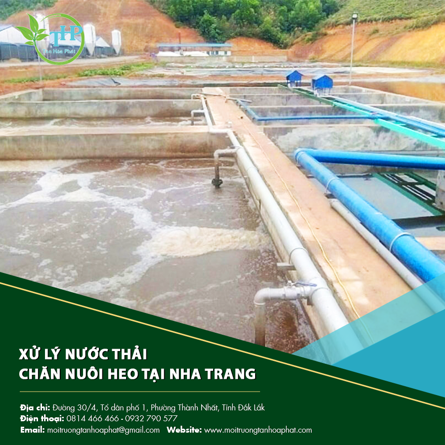 "Bể xử lý nước thải chăn nuôi heo tại Nha Trang ứng dụng công nghệ hiện đại."