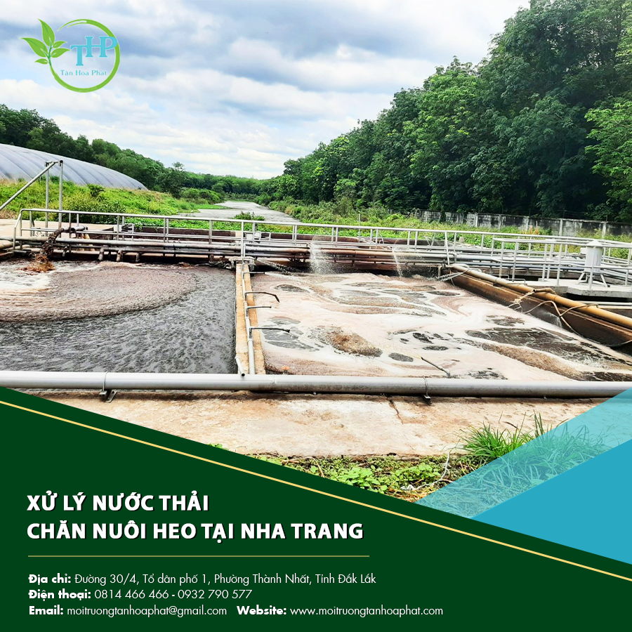 "Hệ thống xử lý nước thải chăn nuôi heo tại Nha Trang giúp giảm ô nhiễm môi trường."