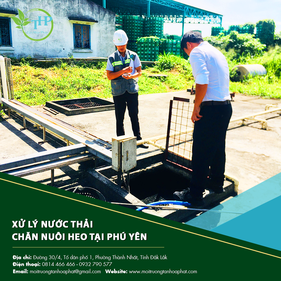 "Nhân viên kỹ thuật giám sát quá trình xử lý nước thải chăn nuôi heo tại Phú Yên."