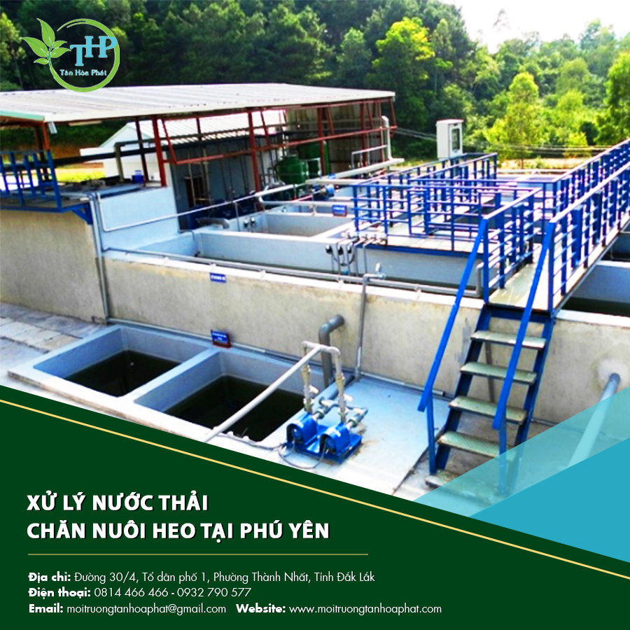 "Bể xử lý nước thải chăn nuôi heo tại Phú Yên giúp loại bỏ mùi và vi khuẩn độc hại."