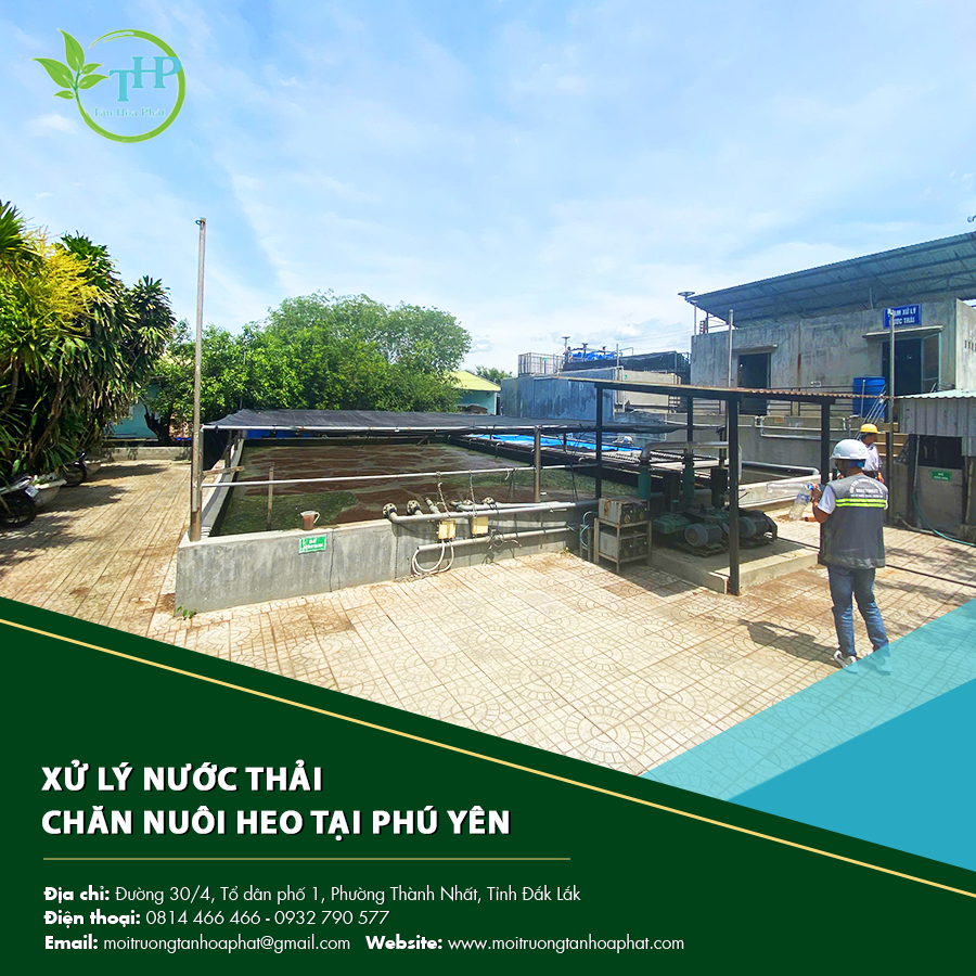 "Hệ thống xử lý nước thải chăn nuôi heo tại Phú Yên giúp giảm thiểu ô nhiễm môi trường"