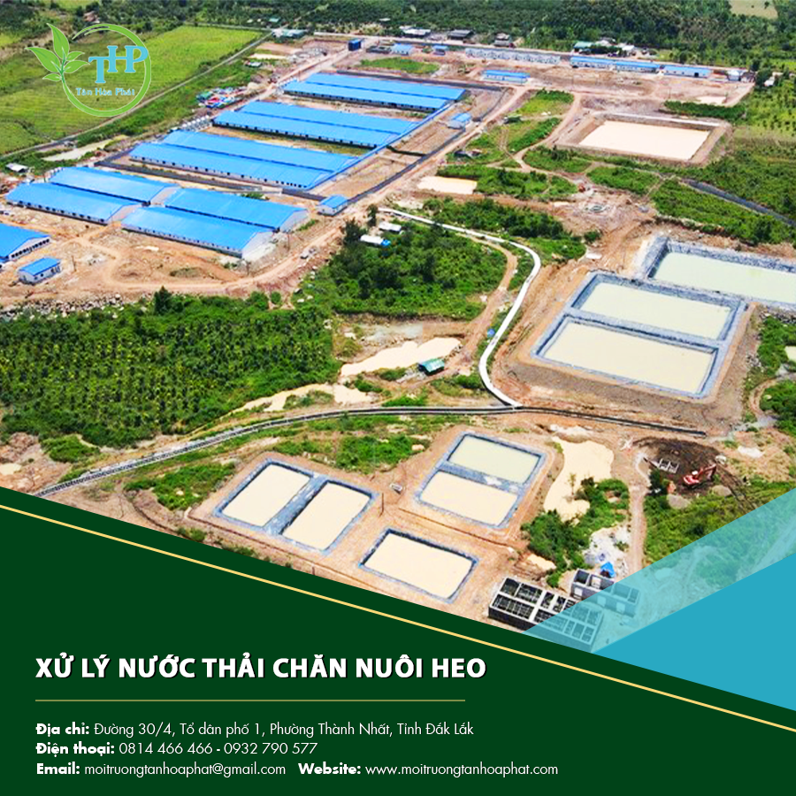 "Quy trình xử lý nước thải chăn nuôi heo đạt chuẩn, bảo vệ môi trường và sức khỏe cộng đồng."