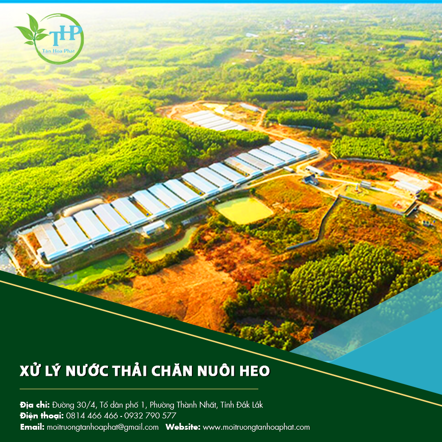 "Xử lý nước thải chăn nuôi heo bằng công nghệ hiện đại mang lại hiệu quả cao."