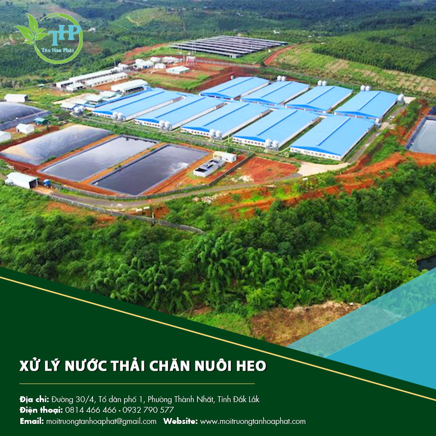"Hệ thống xử lý nước thải chăn nuôi heo giúp giảm thiểu ô nhiễm nguồn nước."