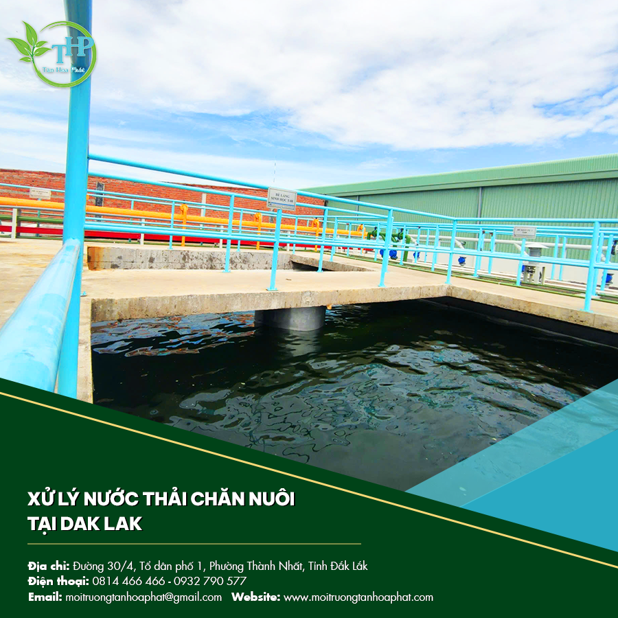 Xử lý nước thải chăn nuôi tại Dak Lak