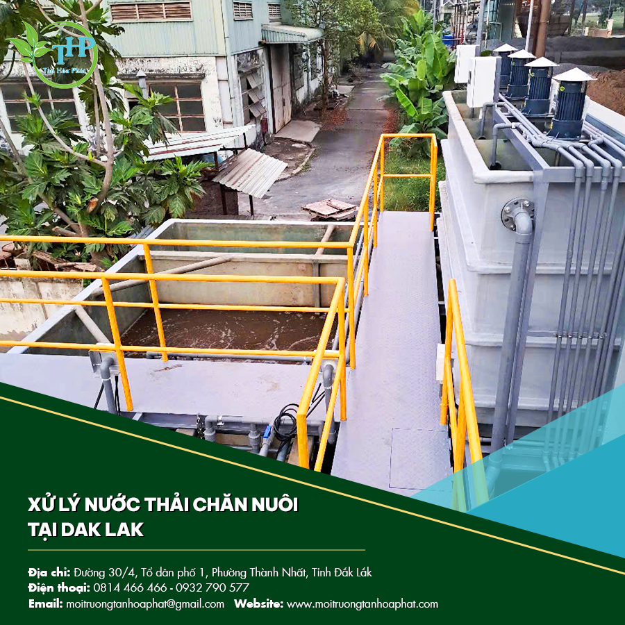 Xử lý nước thải chăn nuôi tại Dak Lak