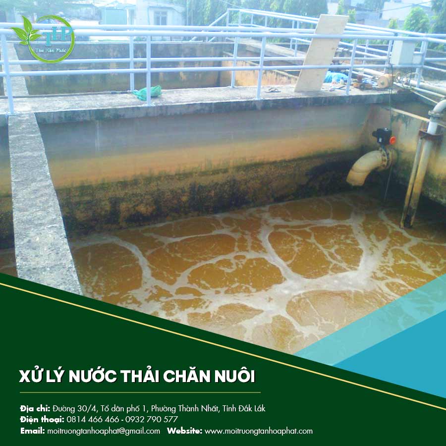Xử lý nước thải chăn nuôi