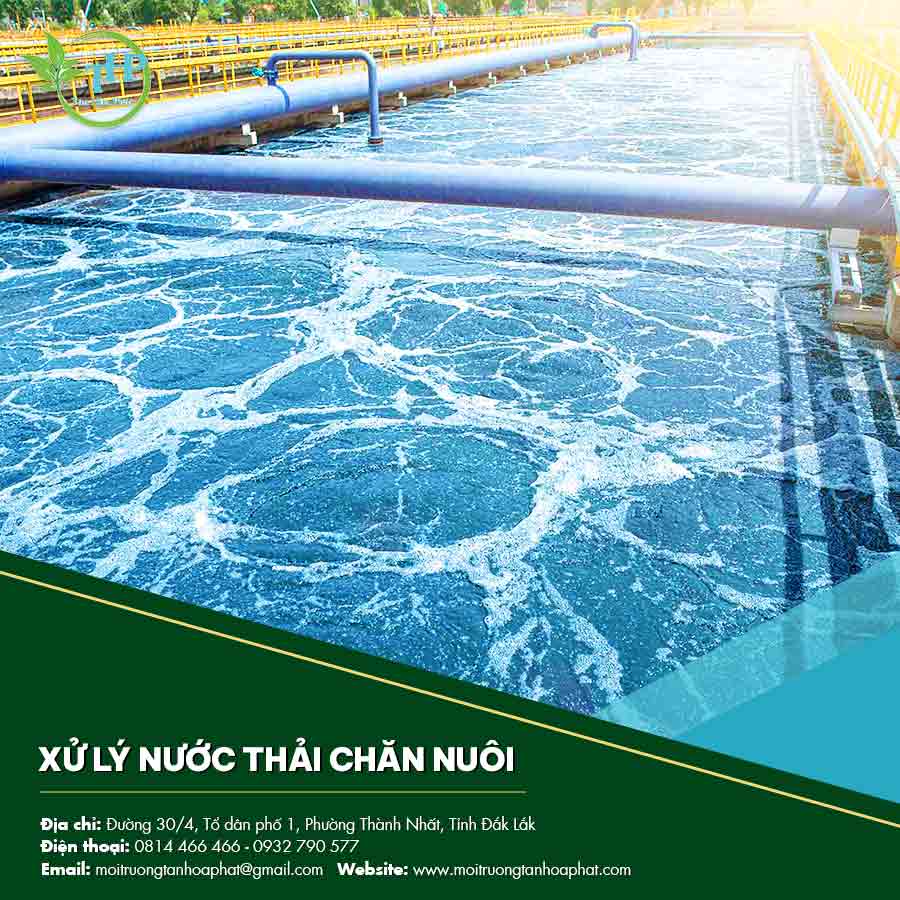 Xử lý nước thải chăn nuôi